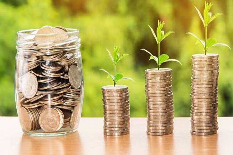 'Financierbaarheid van kwekerijen onder druk' 'Financierbaarheid van kwekerijen onder druk'