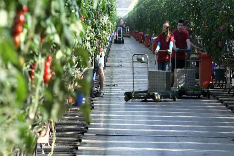 Harvest House richt bedrijf op in Verenigd Koninkrijk Harvest House richt bedrijf op in Verenigd Koninkrijk