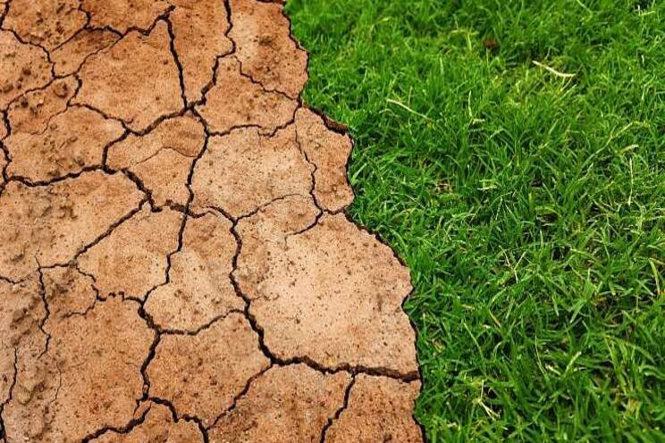 Bijna helft Nederlanders bezorgd over droogte Bijna helft Nederlanders bezorgd over droogte