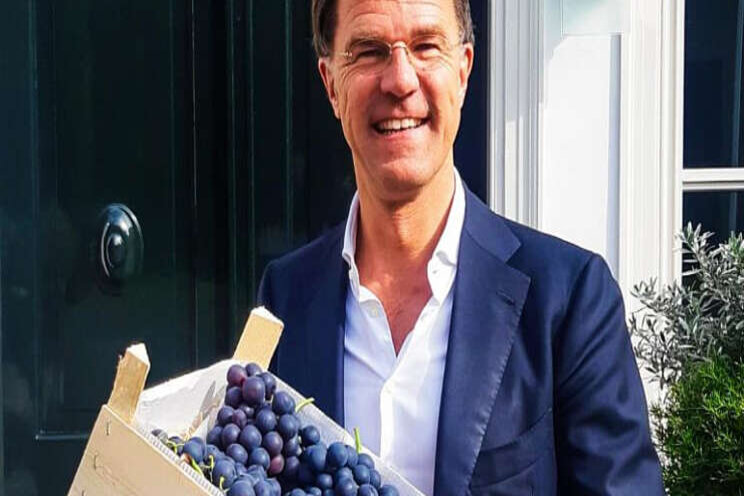 Westlandse druiven voor Rutte Westlandse druiven voor Rutte