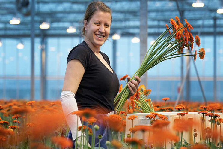 Columnist Volkskrant krijgt tuinbouwlesje Columnist Volkskrant krijgt tuinbouwlesje