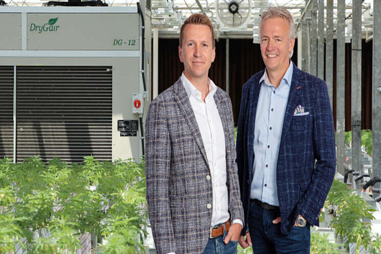 Royal Brinkman richt vizier op cannabisteelt Royal Brinkman richt vizier op cannabisteelt