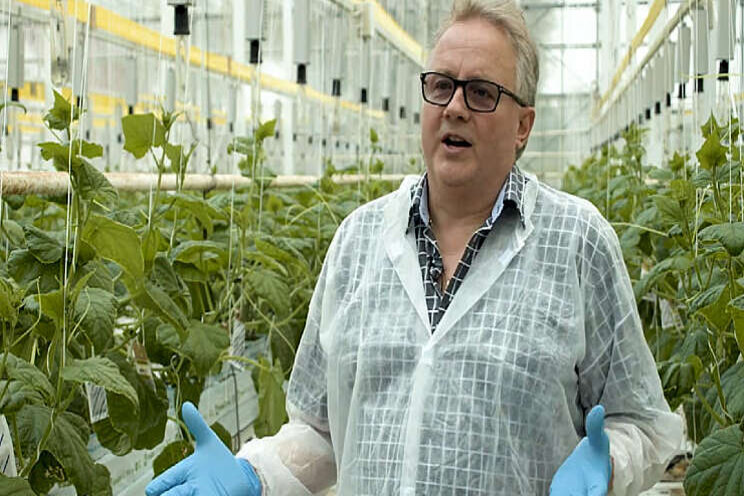 Video: Zweedse kijk op hogedraadkomkommer Video: Zweedse kijk op hogedraadkomkommer