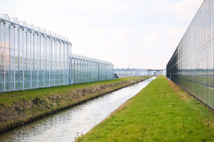 Verkenning gietwater Westland afgerond Verkenning gietwater Westland afgerond