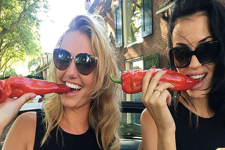 Paprika terugluisteren in het weekend! Paprika terugluisteren in het weekend!