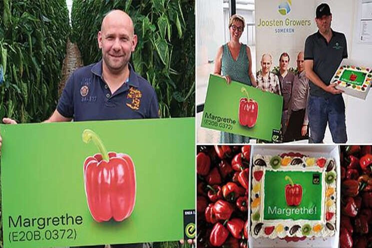 Telers enthousiast over nieuwe Enza-paprika Telers enthousiast over nieuwe Enza-paprika