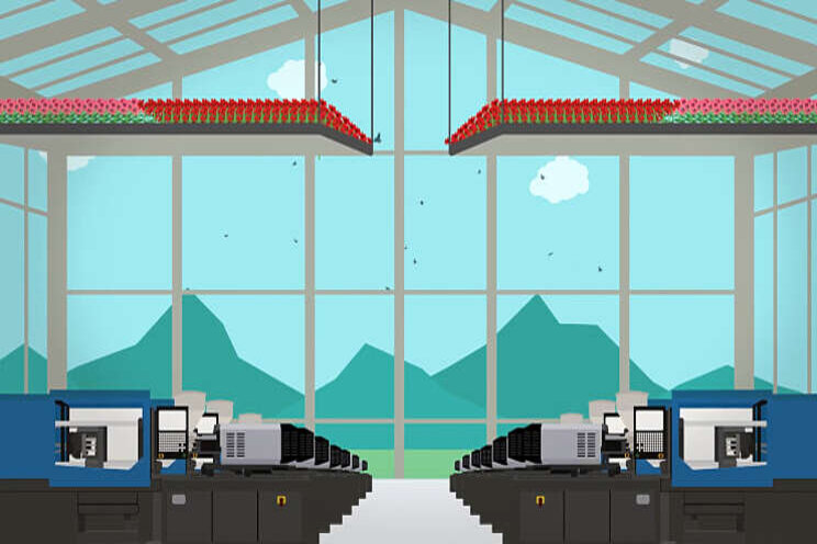Uniek circulair plan Koeleman Potplanten Uniek circulair plan Koeleman Potplanten