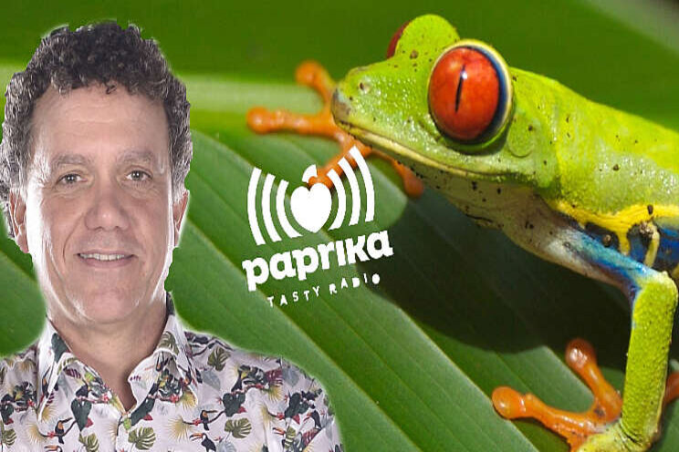Jungle Talks 2... Costa Rica! Jungle Talks 2... Costa Rica!