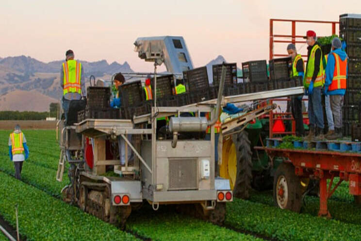 'Versnelde automatisering Europese groenteketen' 'Versnelde automatisering Europese groenteketen'