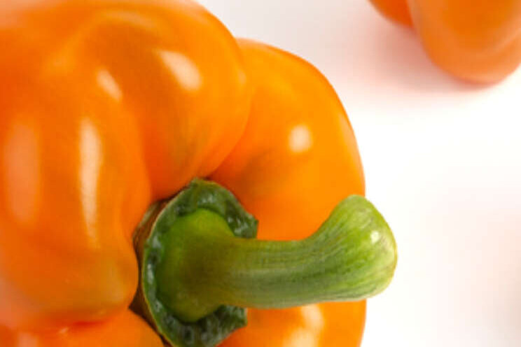 'Investeren in plantfabriek' 'Investeren in plantfabriek'