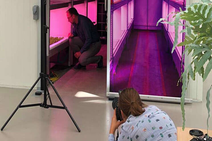 Kennisdossier Groeilicht: behind the scenes Kennisdossier Groeilicht: behind the scenes