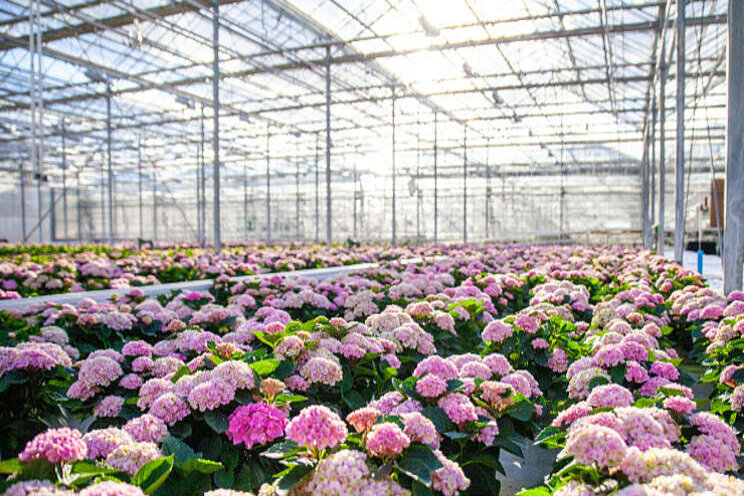 Vervolg voor kennissessies Mprise Agriware Vervolg voor kennissessies Mprise Agriware
