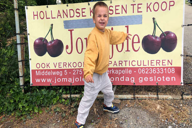 Kersverse Moerkapelse kersen Kersverse Moerkapelse kersen