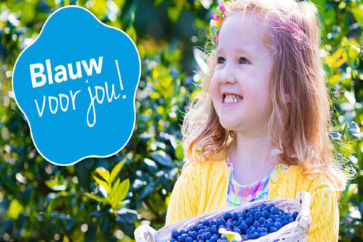 Blauwe bessen schenken? Blauwe bessen schenken?