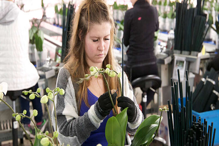 Coronacrisis lost mismatch op arbeidsmarkt niet op Coronacrisis lost mismatch op arbeidsmarkt niet op