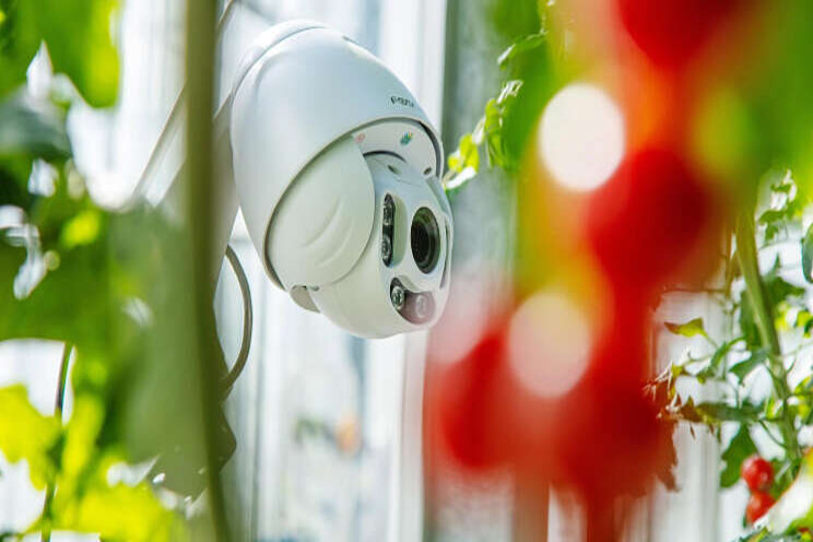 Wie wint de Autonomous Greenhouse Challenge? Wie wint de Autonomous Greenhouse Challenge?