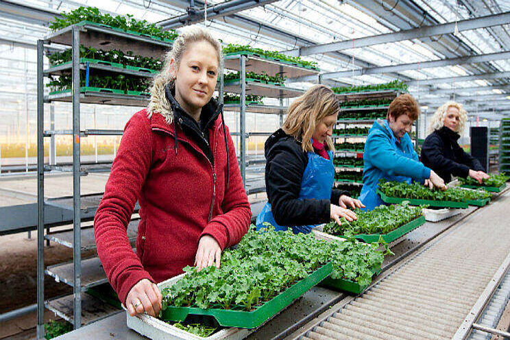 Noodpakket banen en economie verlengd Noodpakket banen en economie verlengd