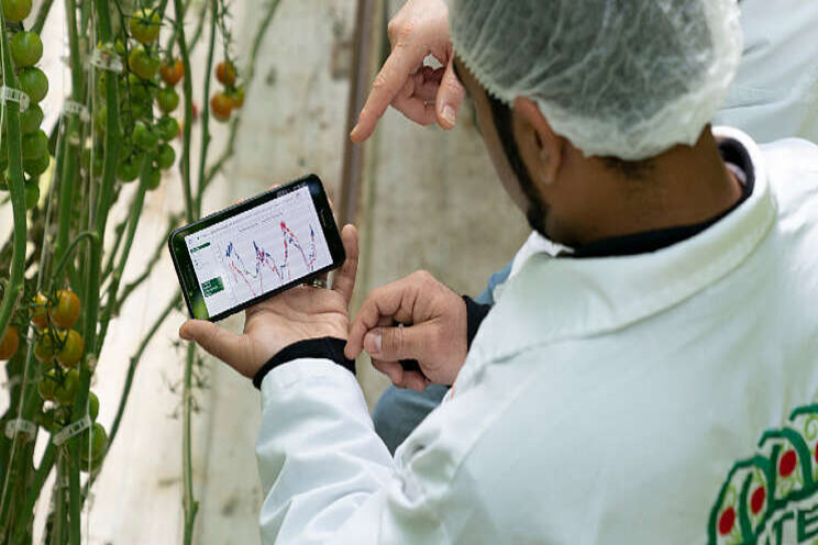 Van traditioneel naar Data Driven Growing Van traditioneel naar Data Driven Growing