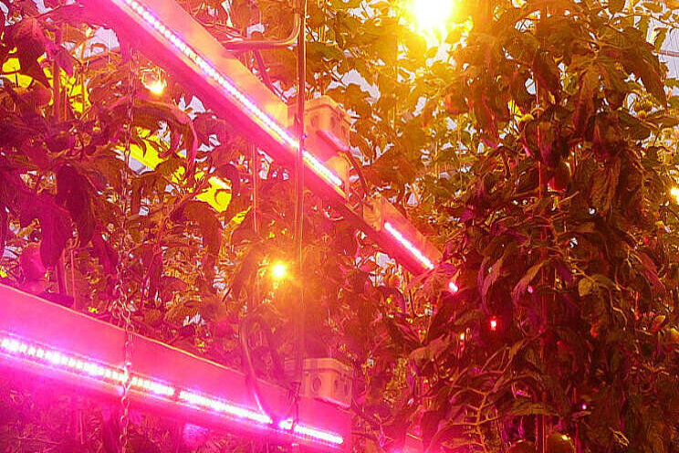 'LED it be' toont meerwaarde aan van belichte veredeling 'LED it be' toont meerwaarde aan van belichte veredeling