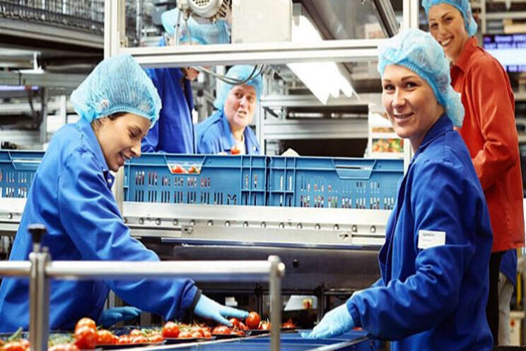 'Plannen ver van realiteit voedselvoorziening' 'Plannen ver van realiteit voedselvoorziening'