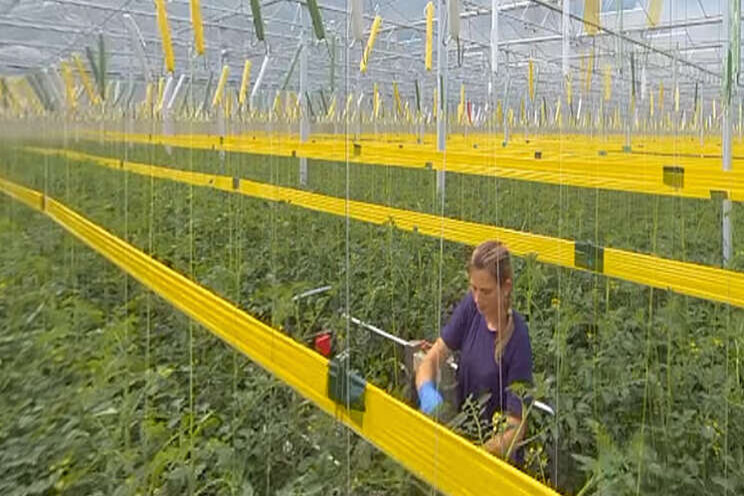 Tuinbouw in 360 graden! Tuinbouw in 360 graden!