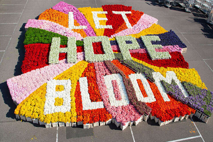 'Let Hope Bloom' verovert harten 'Let Hope Bloom' verovert harten