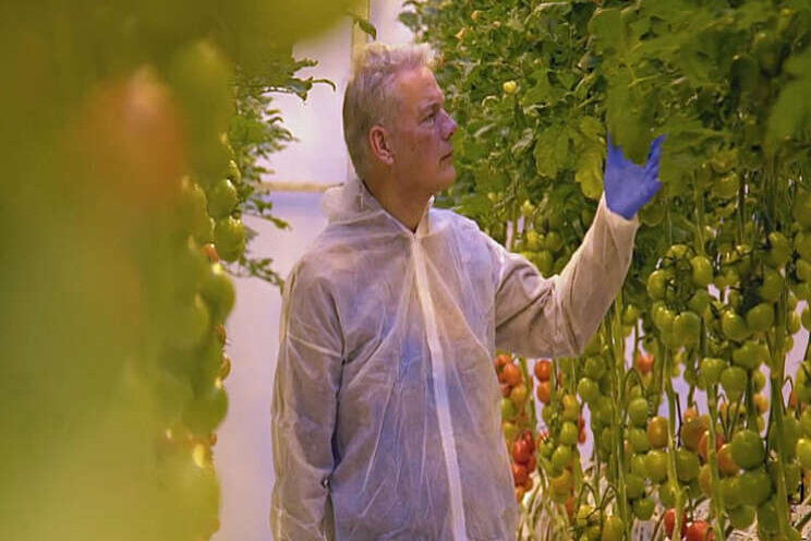 Gratis serie webinars over Plant Empowerment Gratis serie webinars over Plant Empowerment