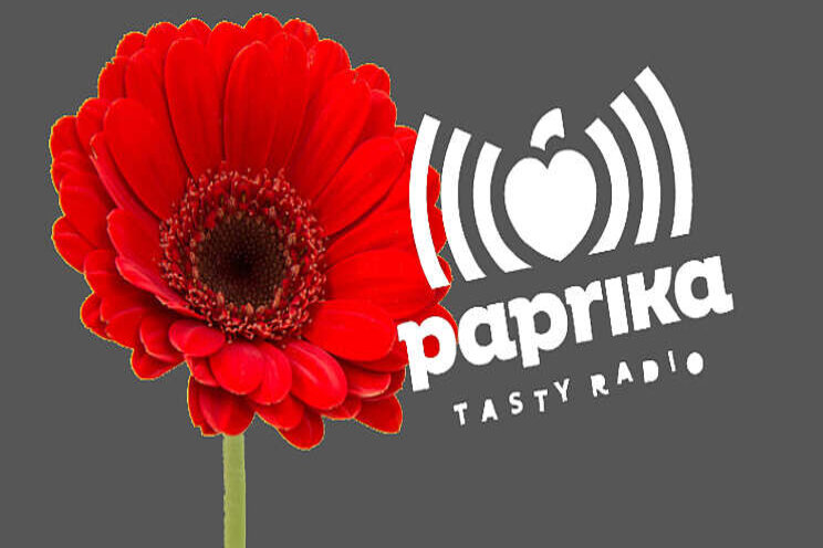 Vandaag op Paprika... Vandaag op Paprika...