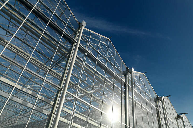 Erkenning verlengd voor tuinbouwcollectieven Erkenning verlengd voor tuinbouwcollectieven
