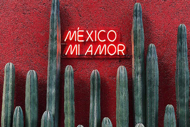 Onderzoek kansen Mexicaanse tuinbouw Onderzoek kansen Mexicaanse tuinbouw