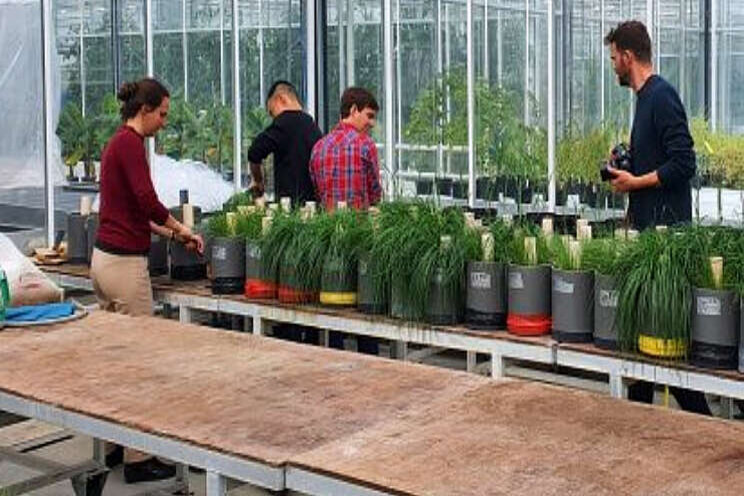 Startups WUR kunnen terecht bij nieuw fonds Startups WUR kunnen terecht bij nieuw fonds
