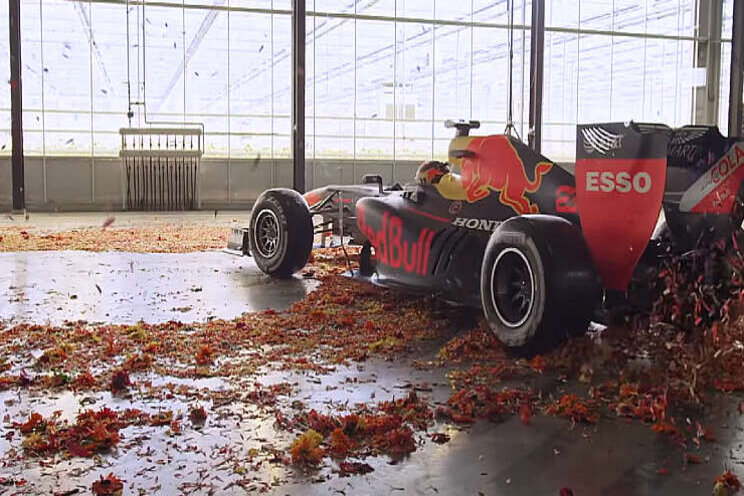 Video: Max door de kas! Video: Max door de kas!