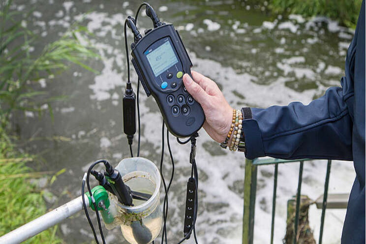 Voortijdige afvoer gewas leidt niet tot watervervuiling Voortijdige afvoer gewas leidt niet tot watervervuiling