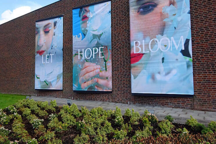 'Let Hope Bloom' op de gevel van Sion Young Plants 'Let Hope Bloom' op de gevel van Sion Young Plants