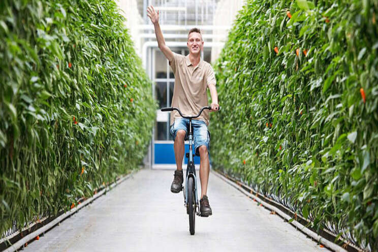 Tuinbouw gaat toekomst herijken Tuinbouw gaat toekomst herijken