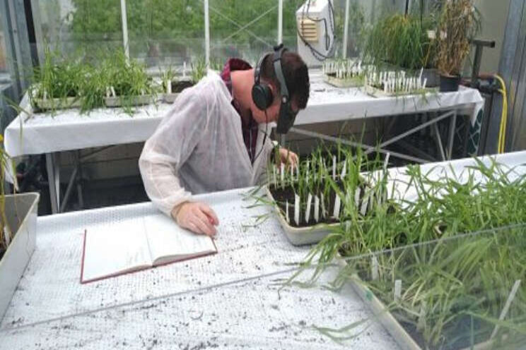 WUR treedt toe tot netwerk Foodshot Global WUR treedt toe tot netwerk Foodshot Global