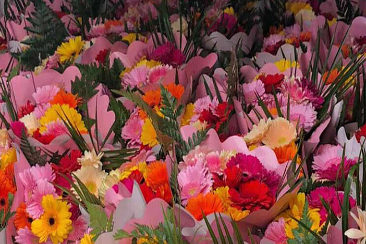 Horti XS bezorgt bloemen bij woonzorgcentrum Horti XS bezorgt bloemen bij woonzorgcentrum