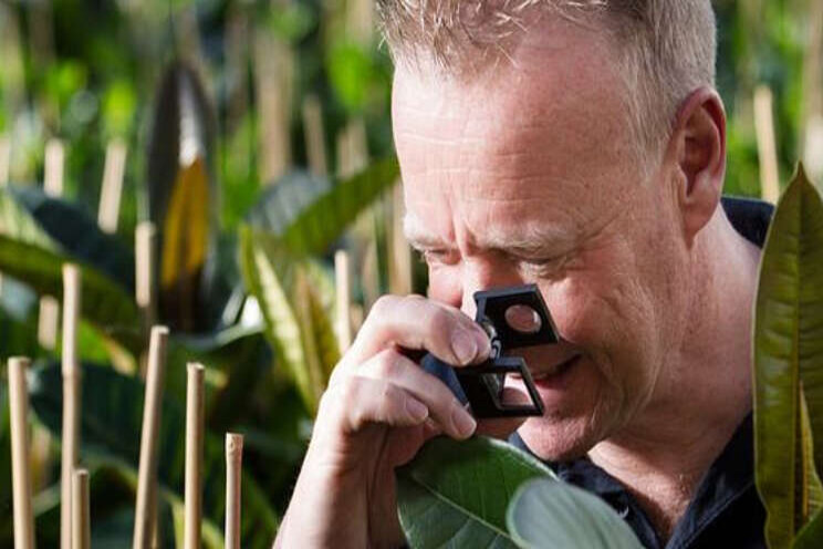 Mogelijkheden voor projecten Plantgezondheid Mogelijkheden voor projecten Plantgezondheid