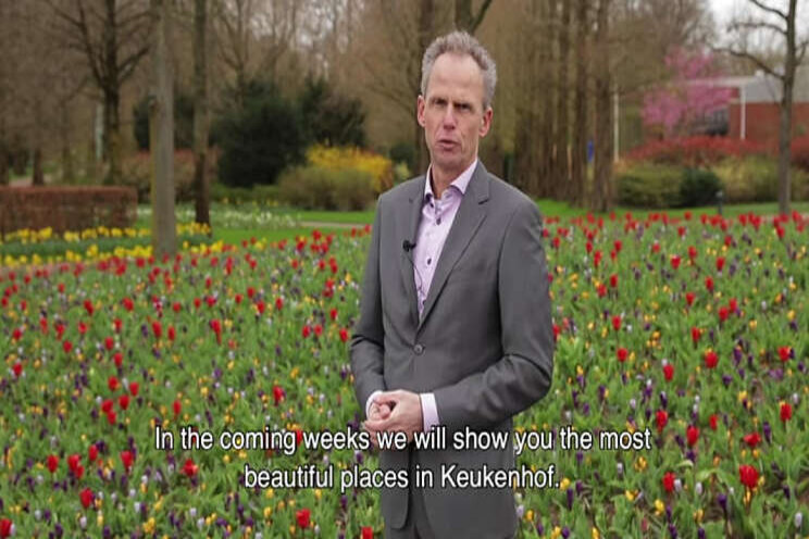 Keukenhof blijft dicht, maar gaat wel virtueel open Keukenhof blijft dicht, maar gaat wel virtueel open