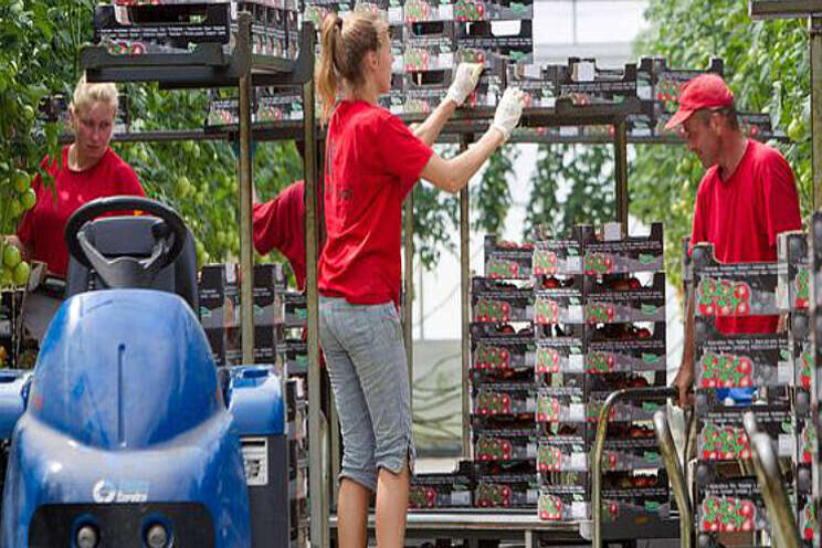Cursusmarkt Kasgroeit verplaatst naar 28 mei Cursusmarkt Kasgroeit verplaatst naar 28 mei
