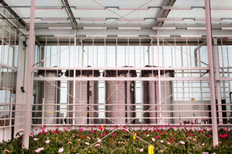 Duurzaam telen: meer productie, lagere footprint Duurzaam telen: meer productie, lagere footprint