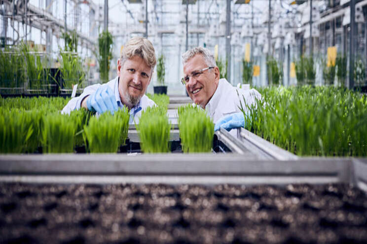 BASF gelooft in innovatie BASF gelooft in innovatie