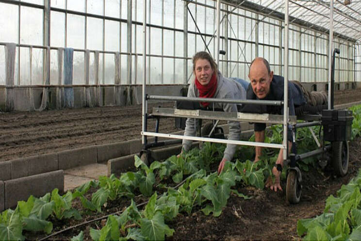 Rolstoel wordt wiedbed Rolstoel wordt wiedbed