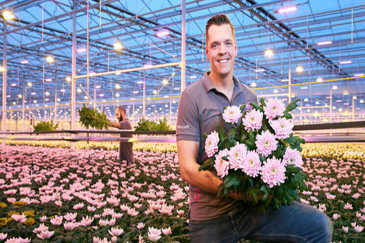 Innovatie Award voor LED-concept Signify Innovatie Award voor LED-concept Signify