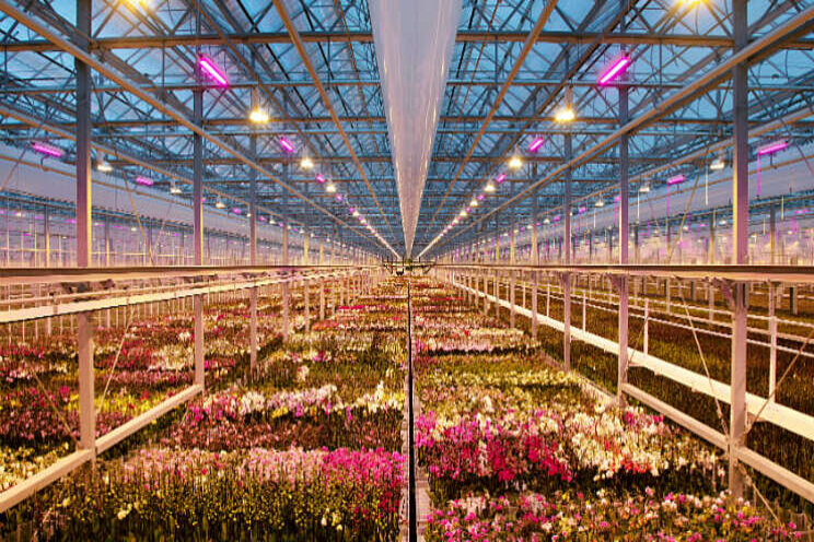 Meer inzicht in factor arbeid Meer inzicht in factor arbeid