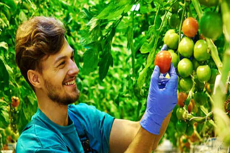 Actualisering afspraken Cafetariaregeling Actualisering afspraken Cafetariaregeling