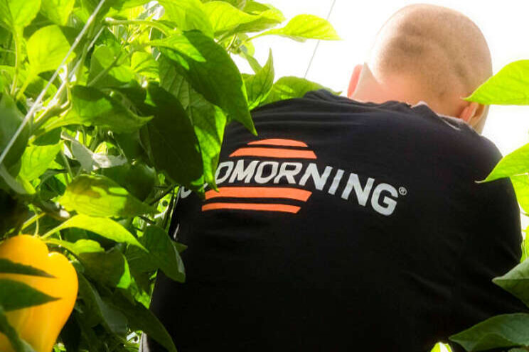 Goodmorning wil groeien Goodmorning wil groeien