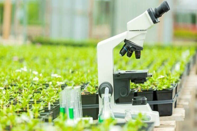 Slotevent BioBoost-project Slotevent BioBoost-project