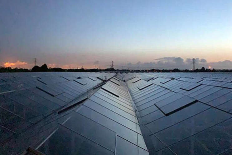 'Kassen in Westland opofferen voor woningbouw' 'Kassen in Westland opofferen voor woningbouw'