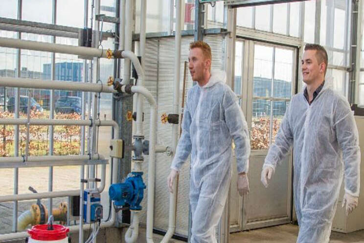Wat is het belang van hygiëne in de tuinbouw? Wat is het belang van hygiëne in de tuinbouw?